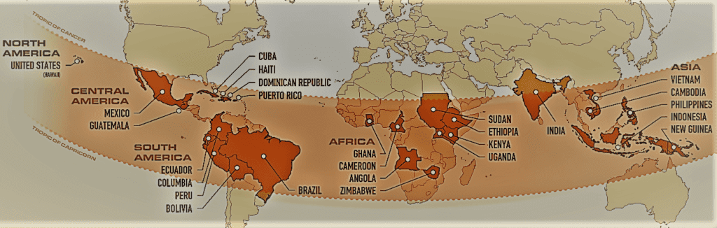 Coffee Growing Regions Of The World   World Coffee Map Of Single Origin Coffees OPT 1024x326 