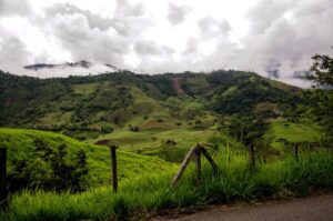 Colombian coffee growing zone, mountains